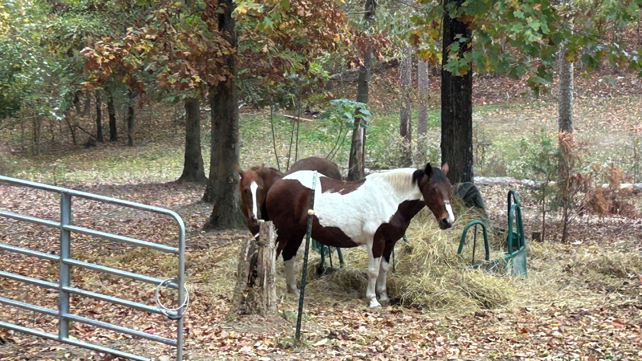 Photo of Others in Collegedale