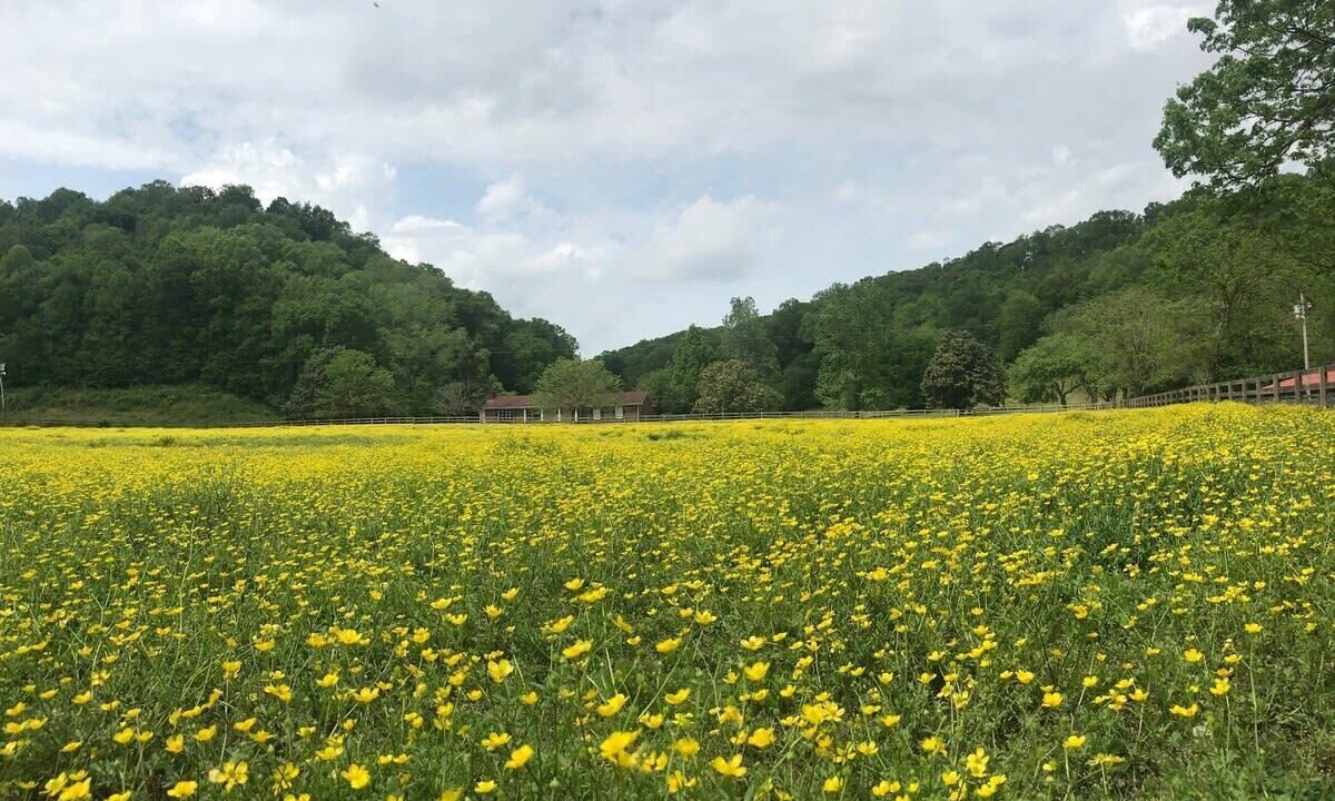 Photo of Others in Franklin