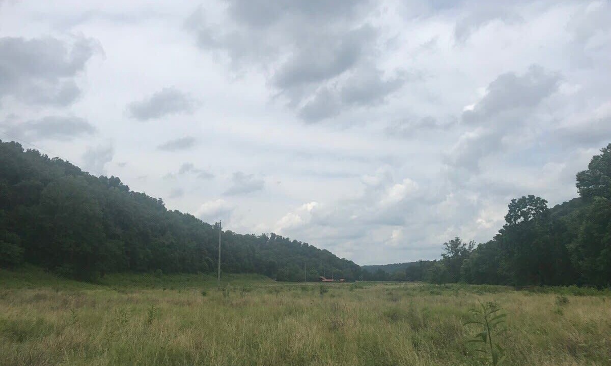 Photo of Others in Franklin