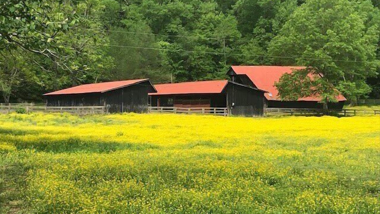 Photo of Others in Franklin