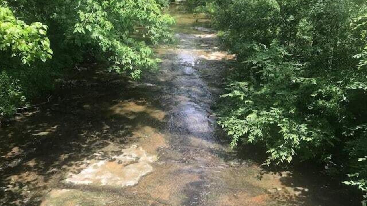 Photo of Others in Franklin