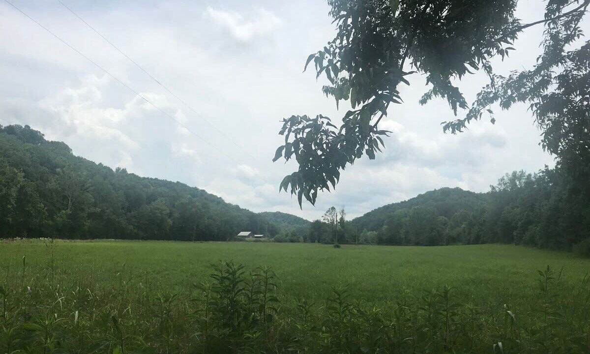 Photo of Others in Franklin