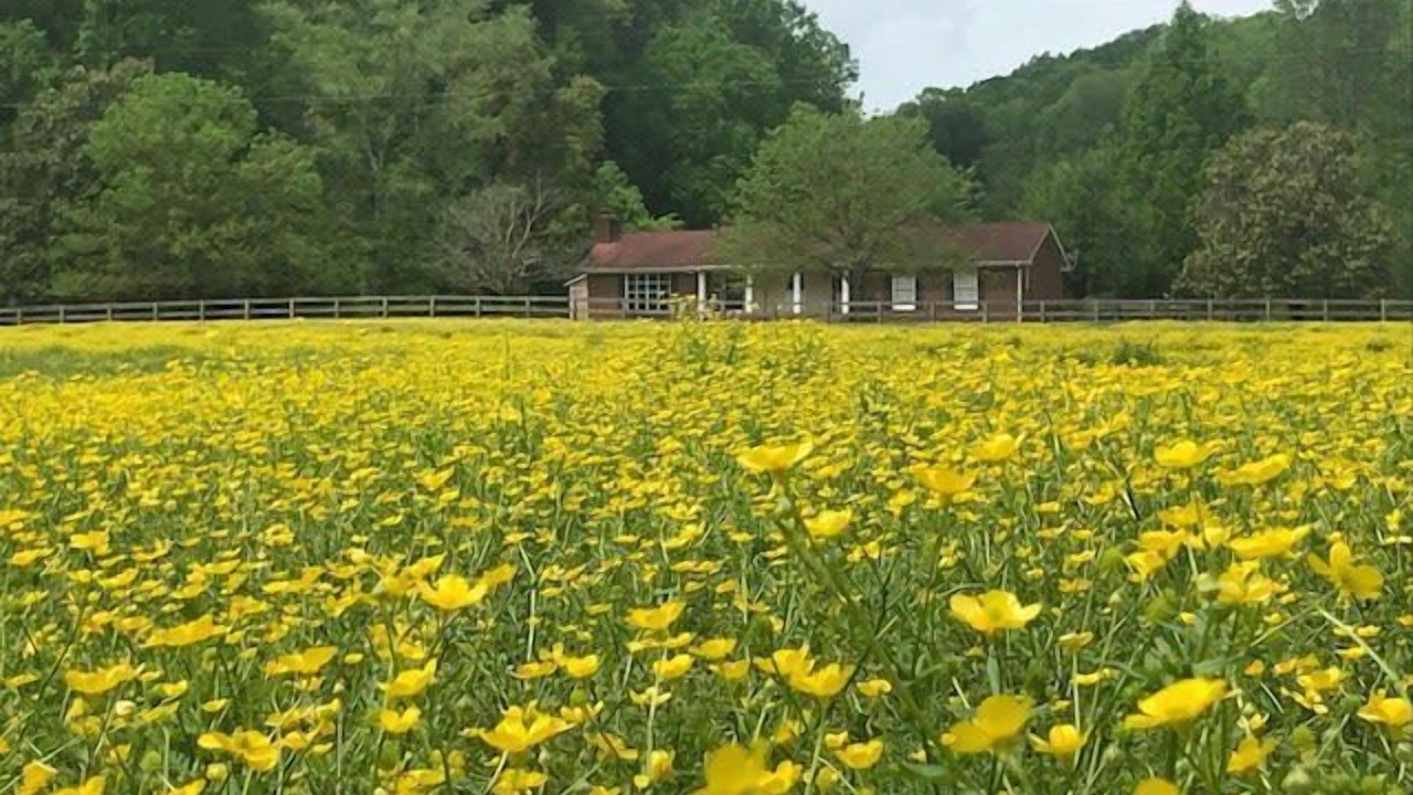 Photo of Outdoor in Franklin