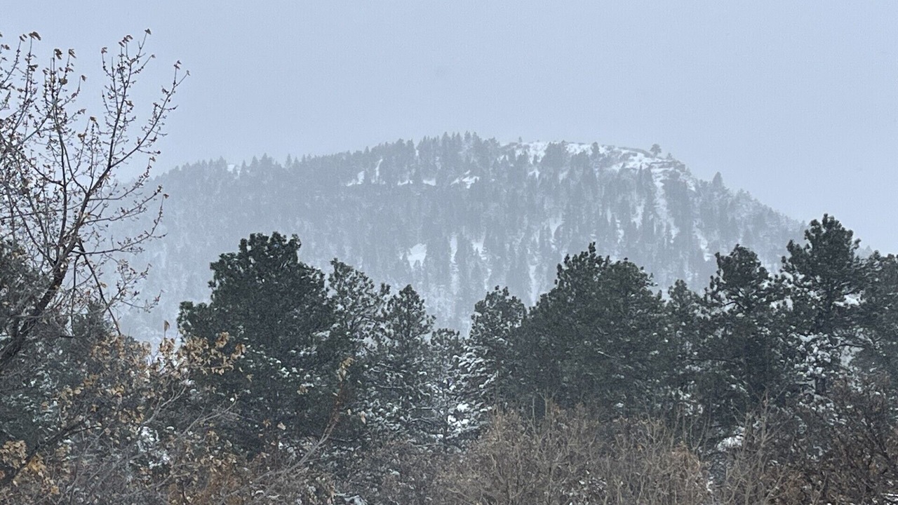 Photo of Others in Palmer Lake