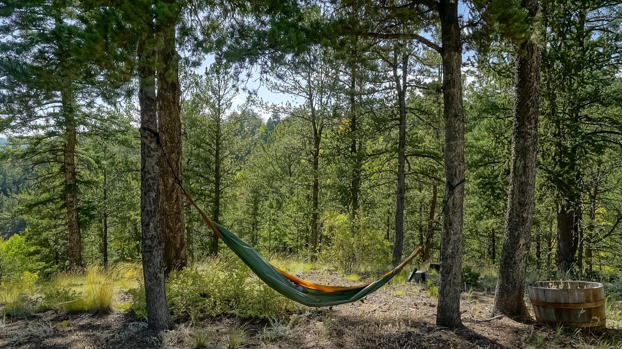 Photo of Others in Rainbow Valley