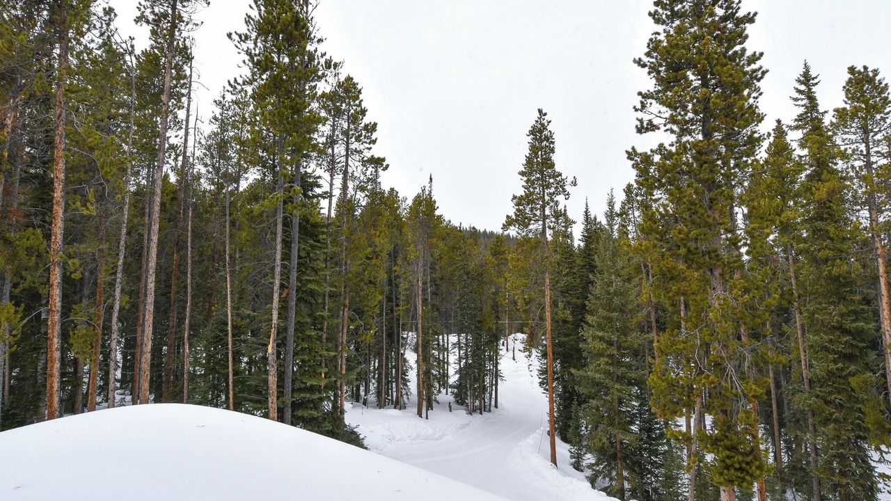 Photo of Others in Breckenridge
