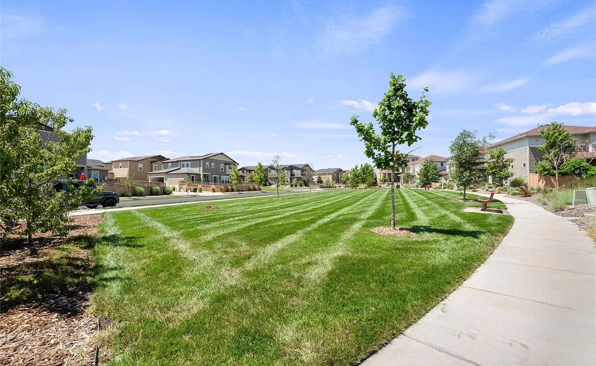 Photo of Outdoor in The Meadows