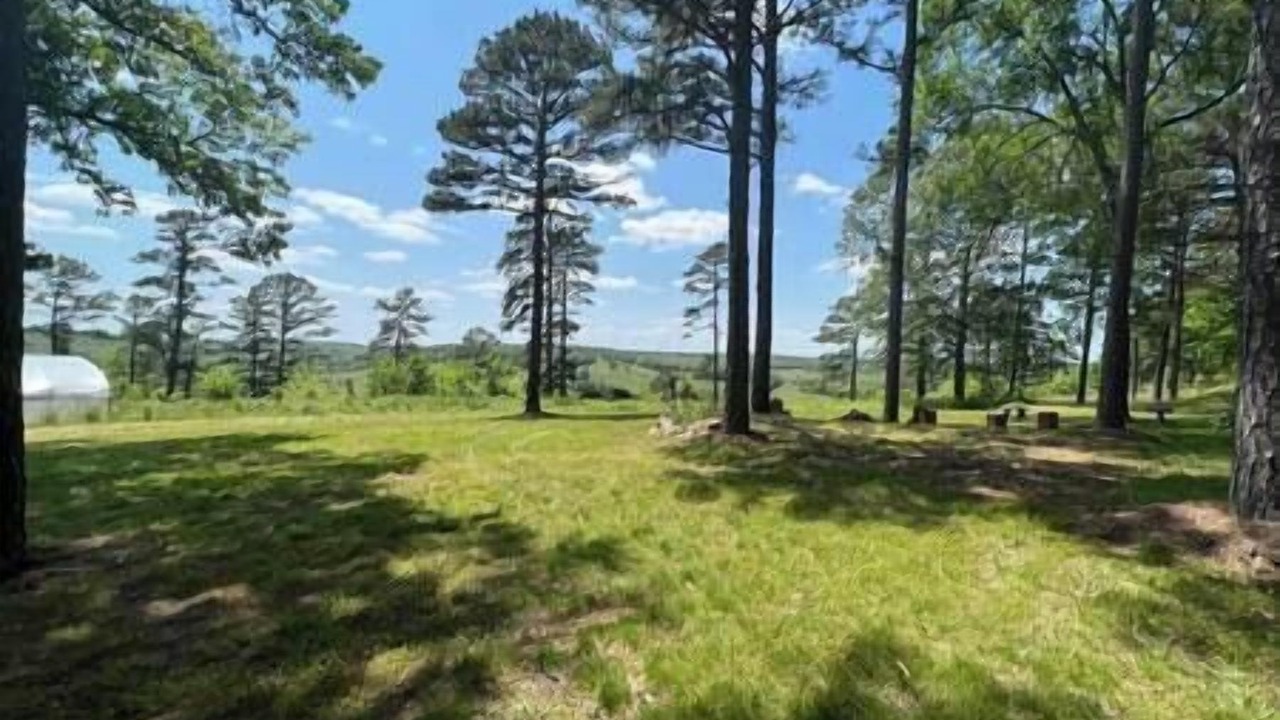 Photo of Outdoor in Licking