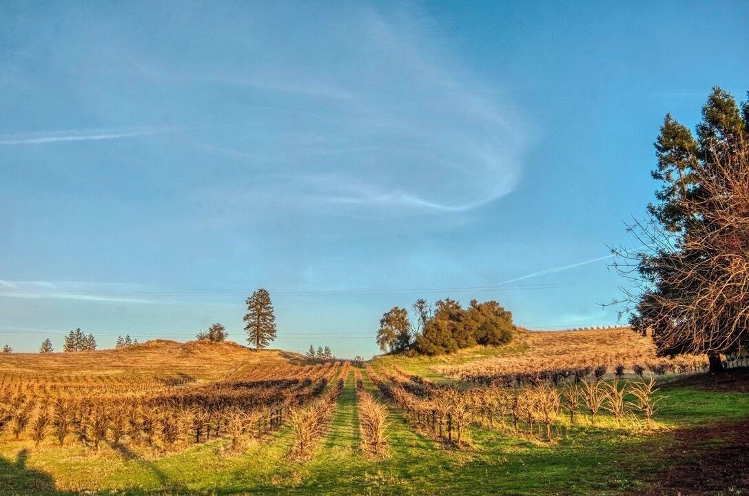 Photo of Others in Shenandoah Valley