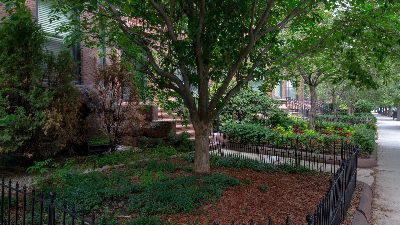 Photo of Outdoor in Fenway–Kenmore