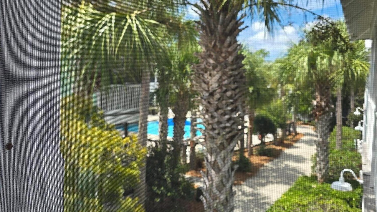 Photo of Outdoor in Port St. Joe