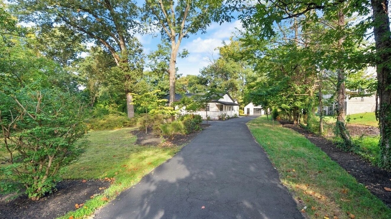 Photo of Outdoor in Annandale