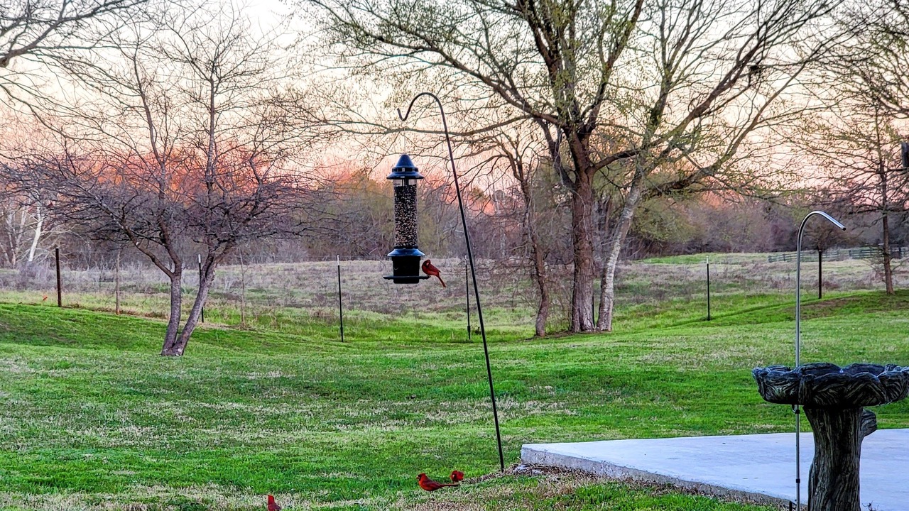 Photo of Others in Smithville
