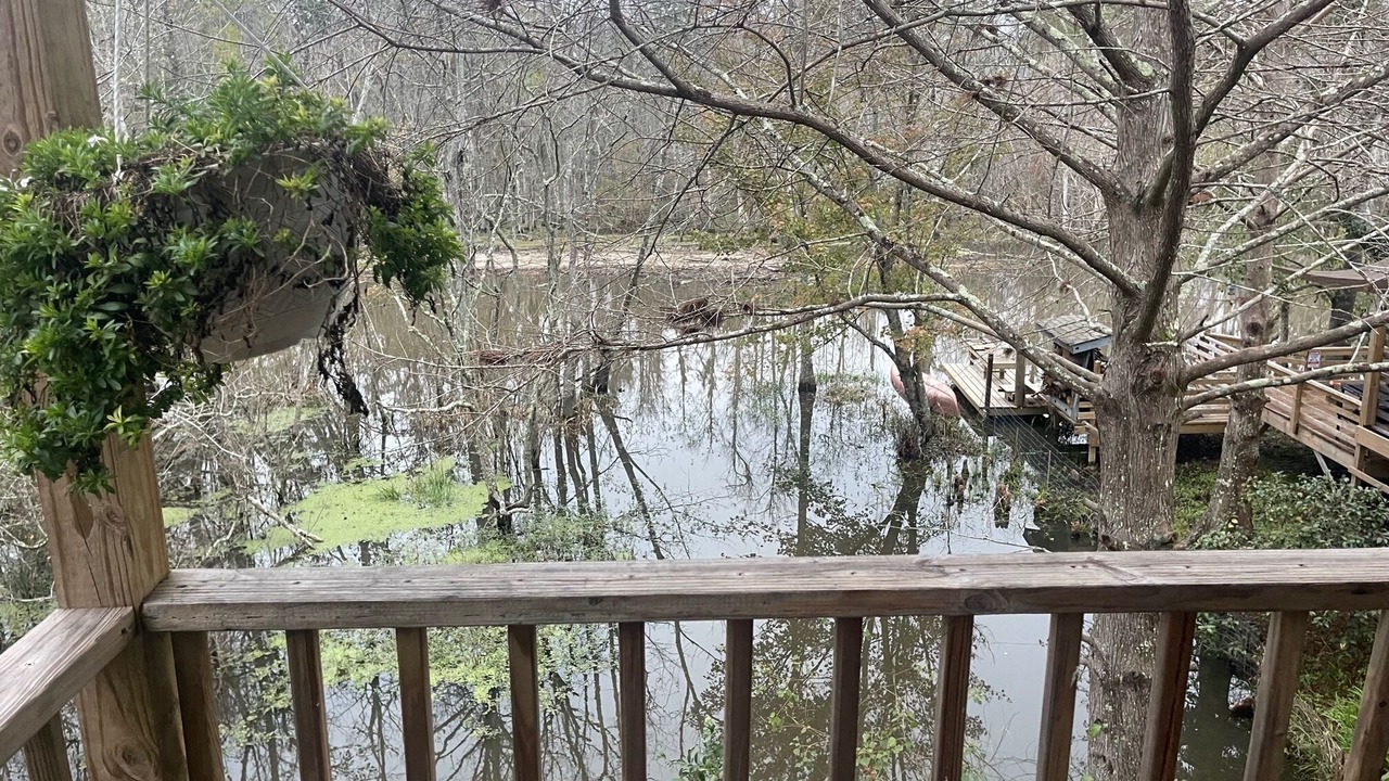 Photo of Outdoor in Slidell