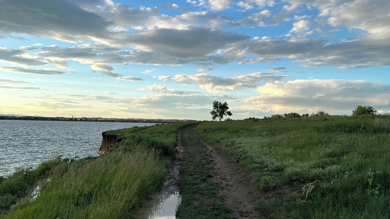 Photo of Others in West Westminster