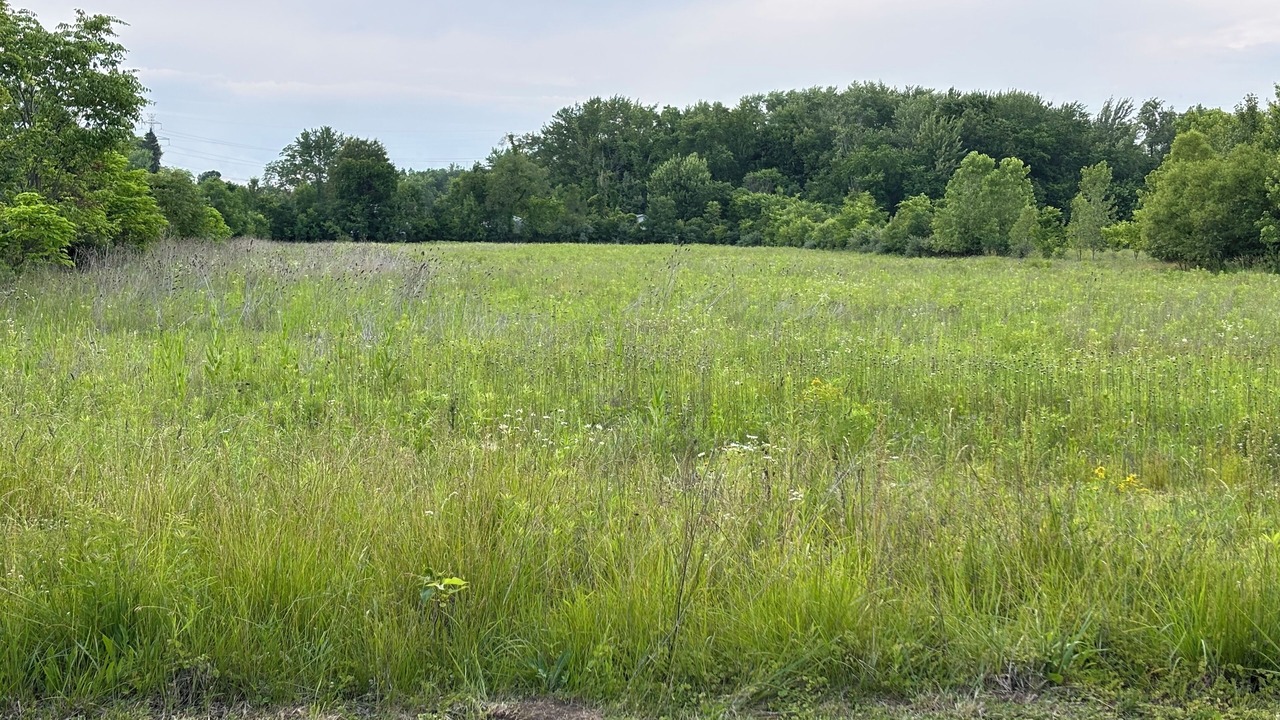 Photo of Others in Bridgman