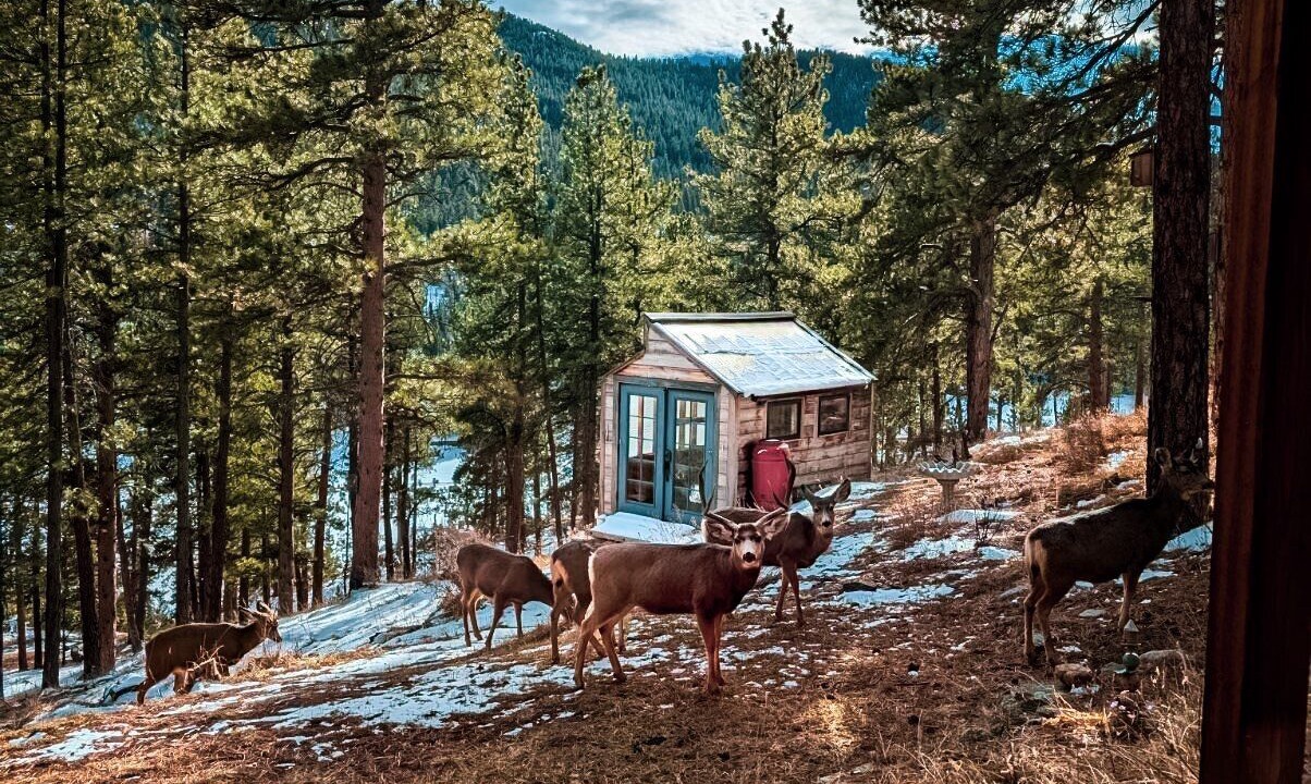 Photo of Others in Evergreen