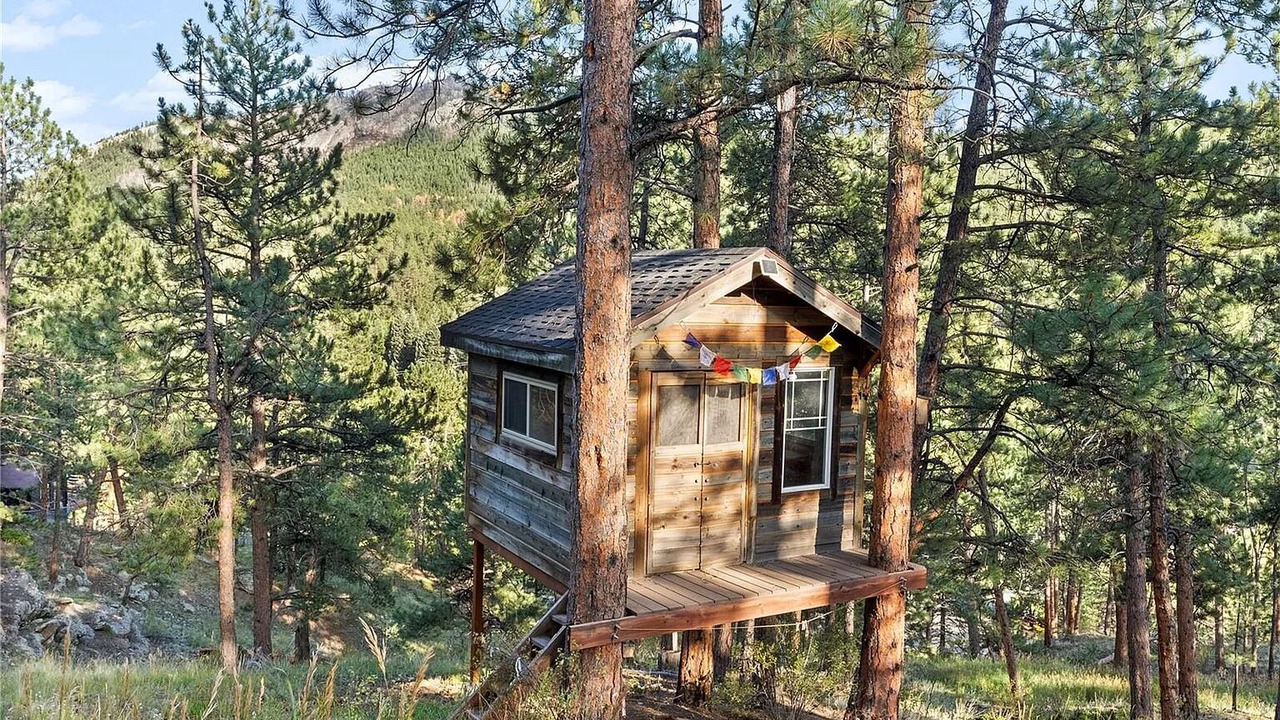 Photo of Outdoor in Evergreen