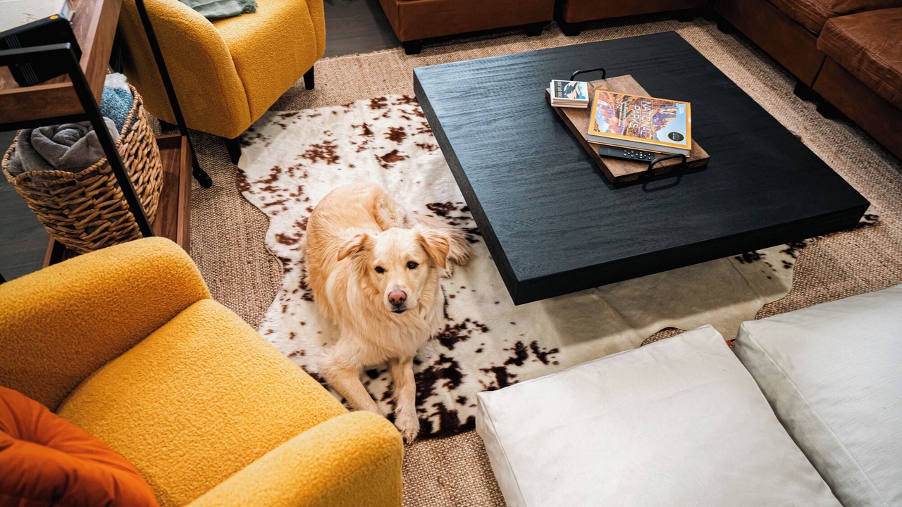Photo of Livingroom in Lamar Heights Area