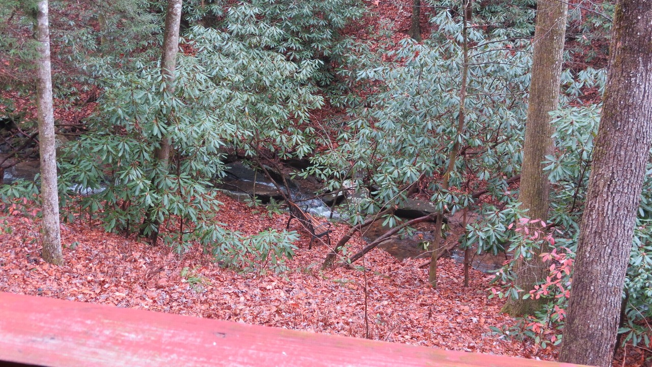 Photo of Others in Ellijay