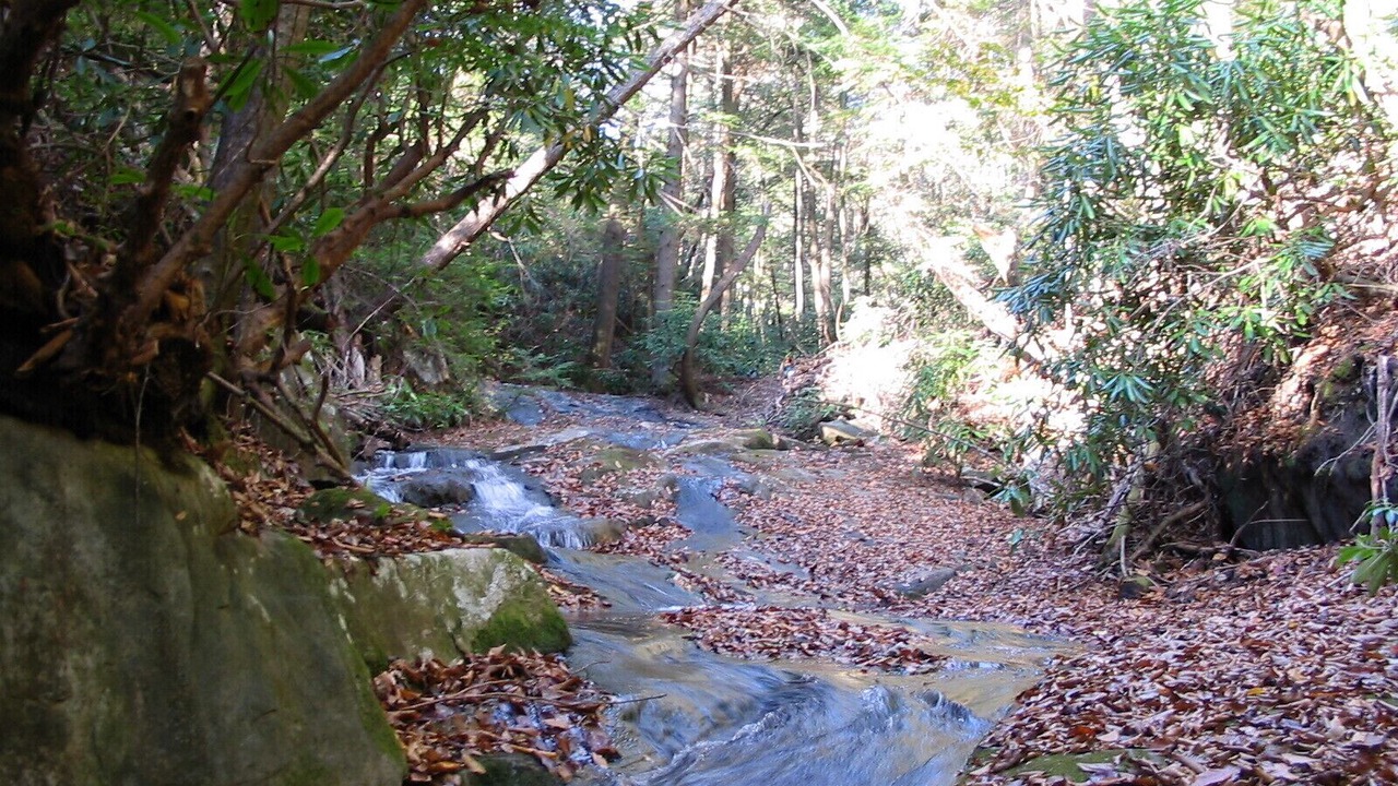 Photo of Outdoor in Ellijay
