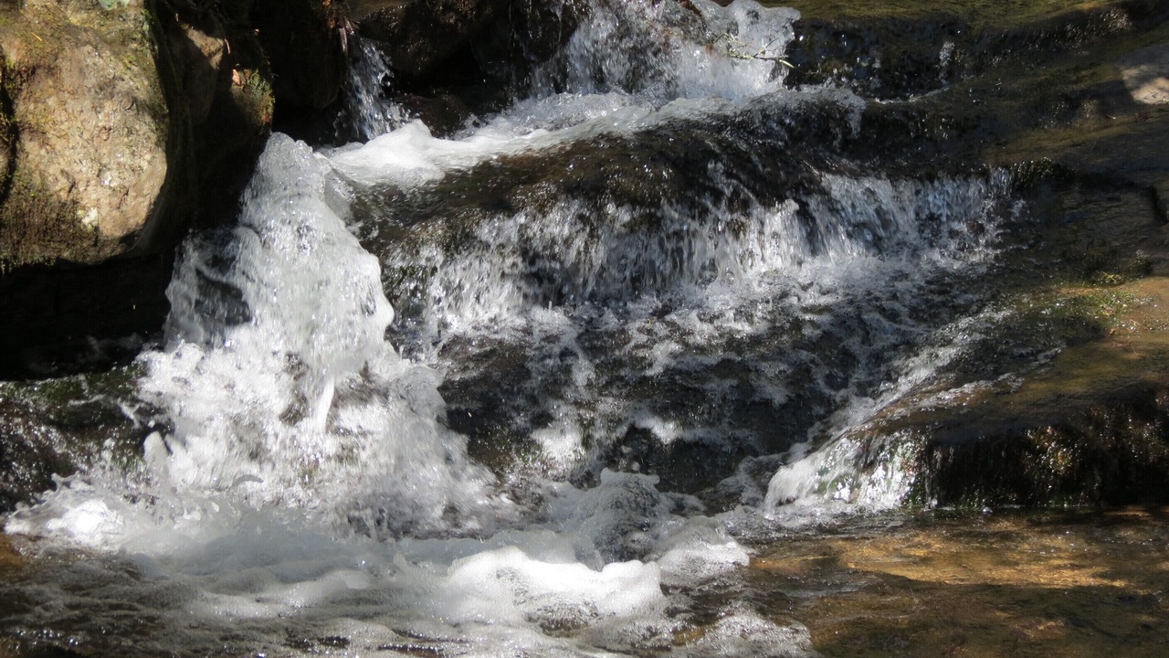 Photo of Others in Ellijay