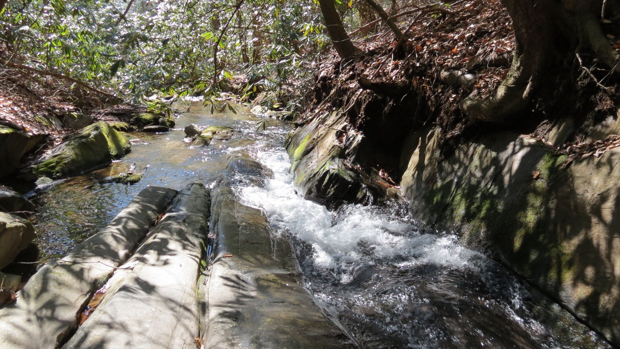 Photo of Others in Ellijay