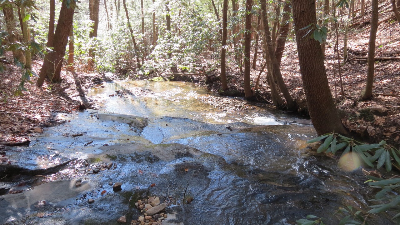 Photo of Others in Ellijay