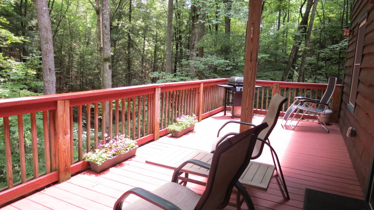 Photo of Outdoor in Ellijay