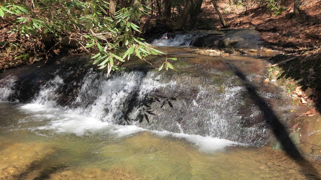 Photo of Outdoor in Ellijay
