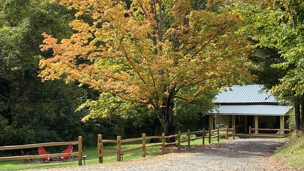 Photo of Outdoor in Weaverville