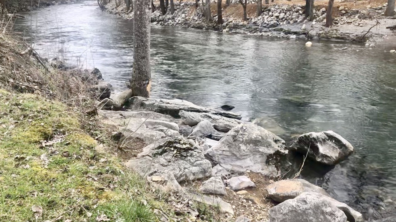 Photo of Outdoor in Townsend