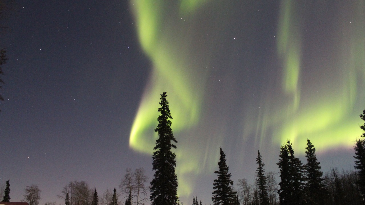 Photo of Others in North Pole