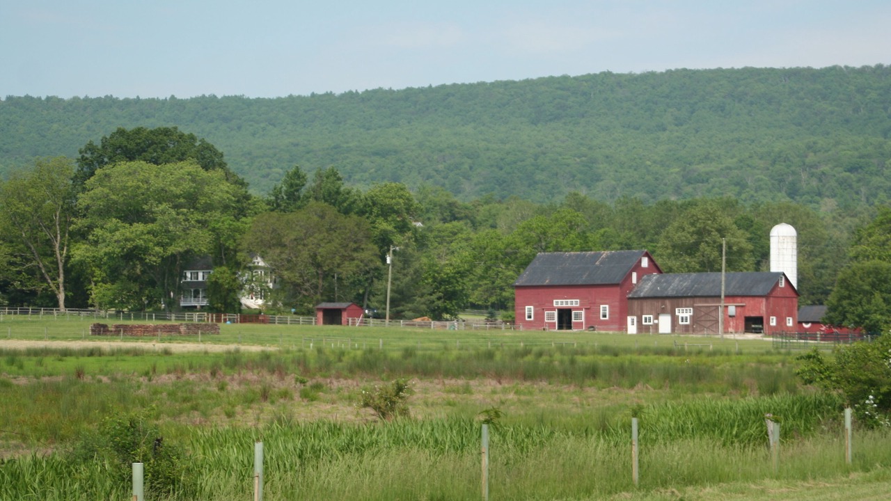 Photo of Others in Purcellville