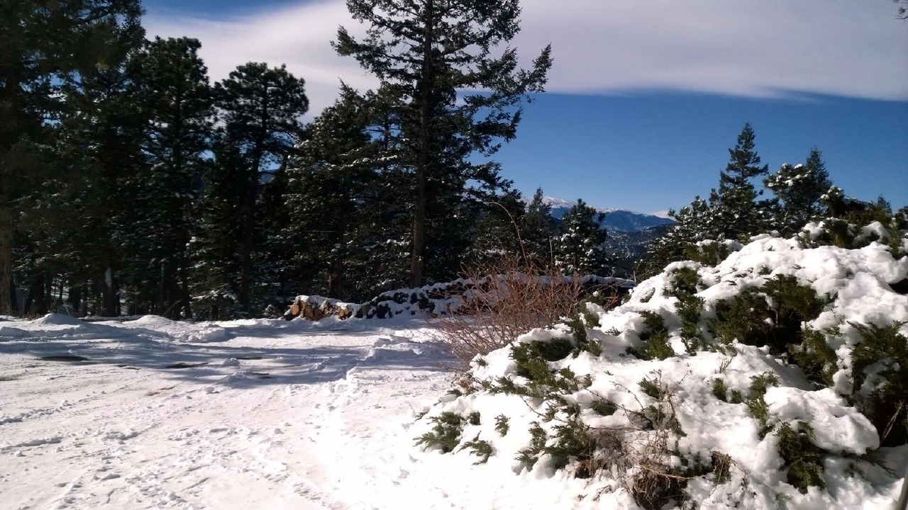 Photo of Others in Evergreen Meadows