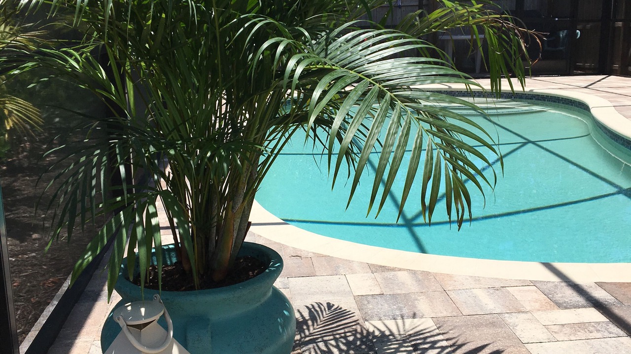Photo of Outdoor in South Venice
