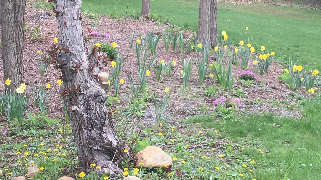 Photo of Outdoor in Bolton Landing