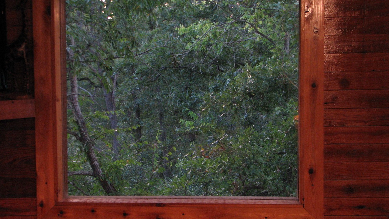 Photo of Others in Canyon Creek