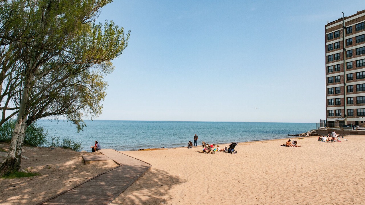 Photo of Others in Rogers Park