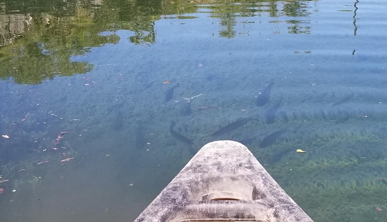 Photo of Others in Dripping Springs