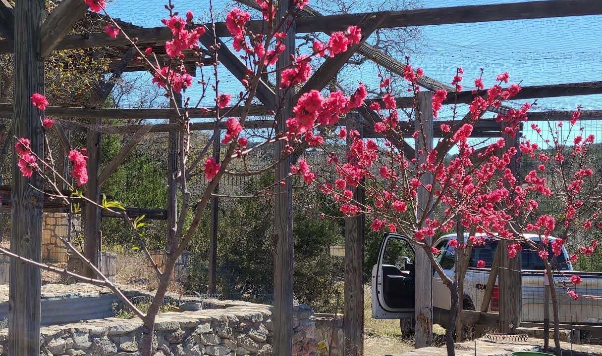 Photo of Others in Dripping Springs