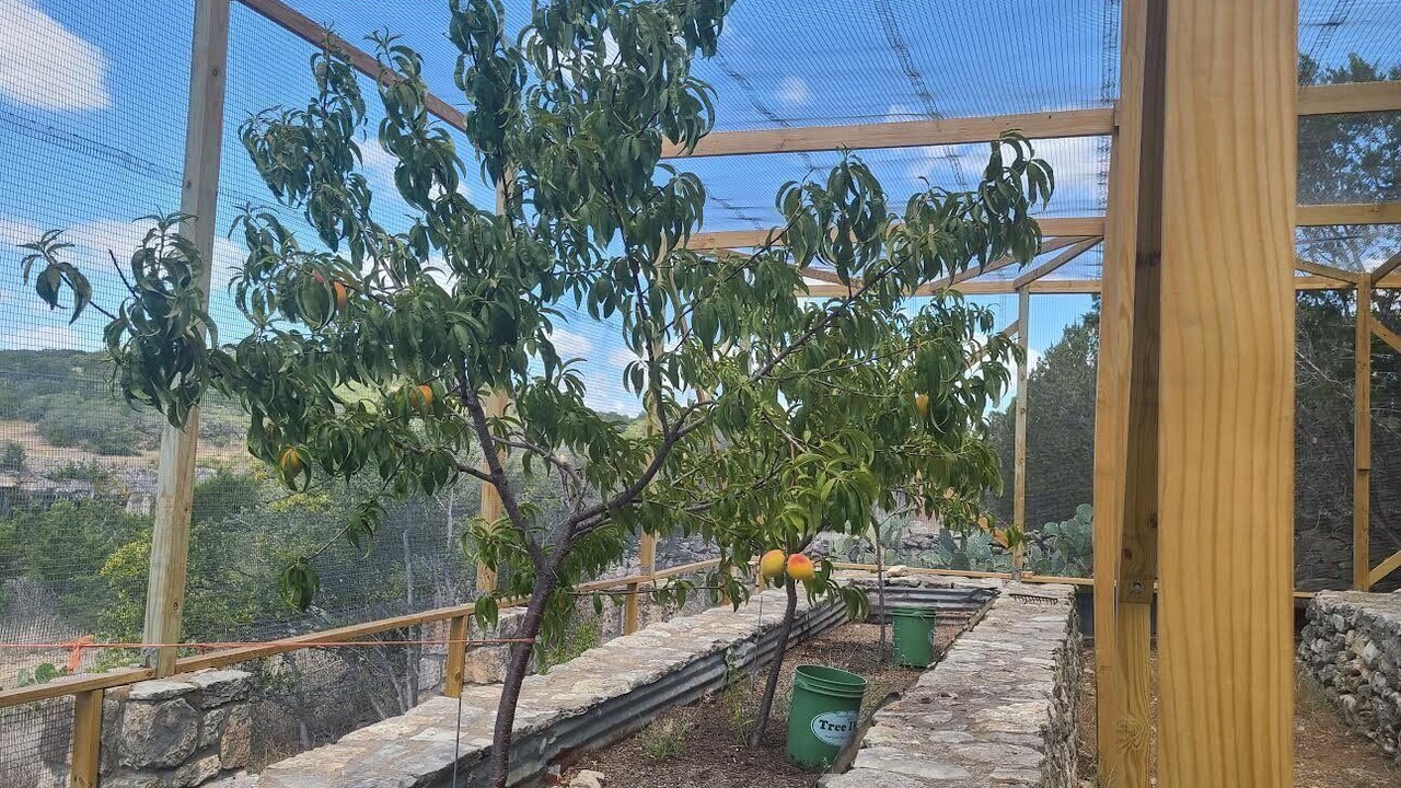 Photo of Outdoor in Dripping Springs