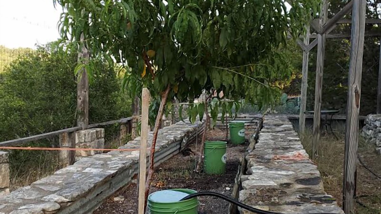 Photo of Outdoor in Dripping Springs