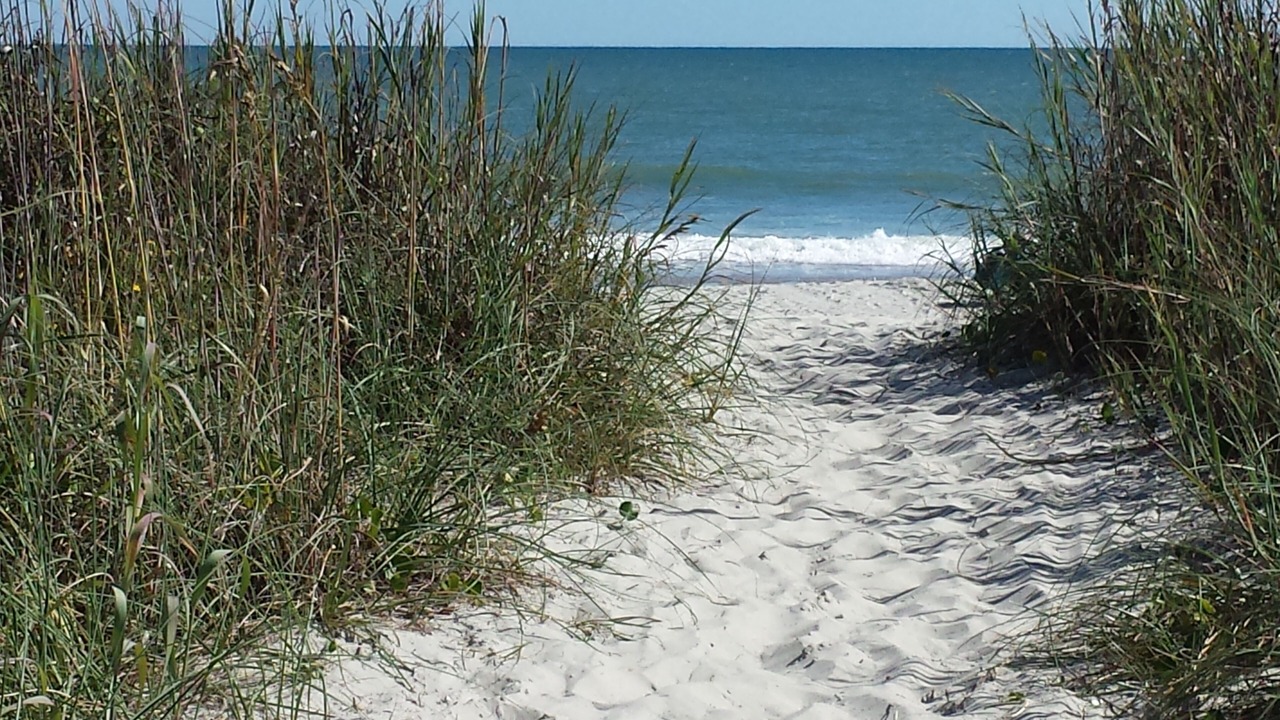 Photo of Others in Myrtle Beach