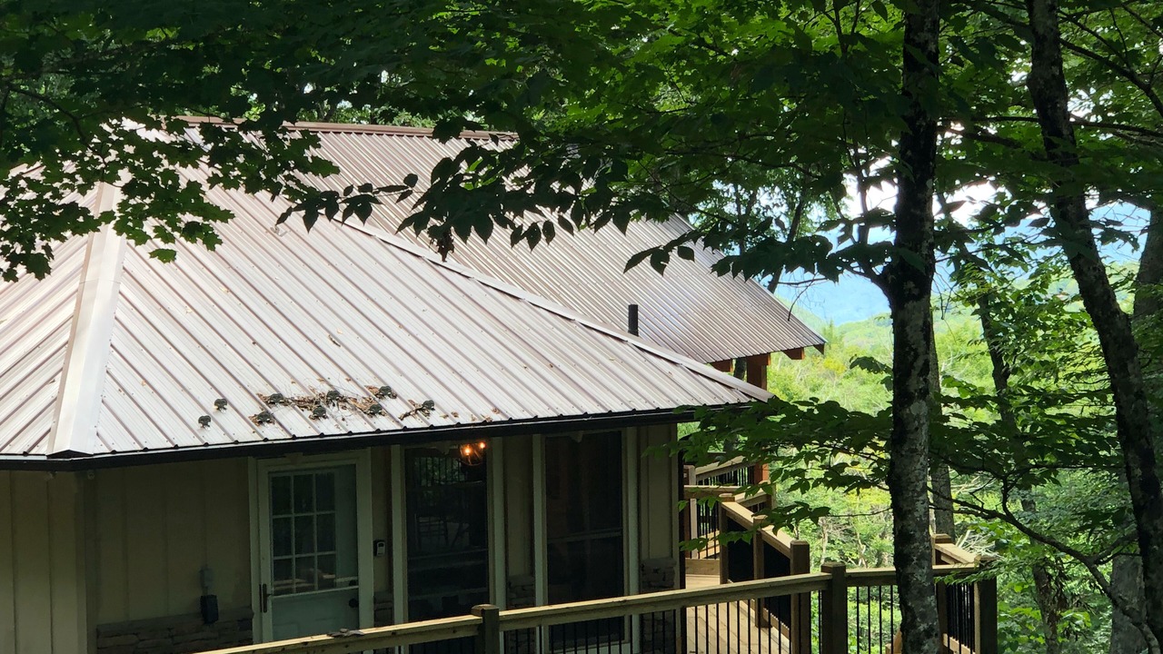 Photo of Outdoor in Beech Mountain