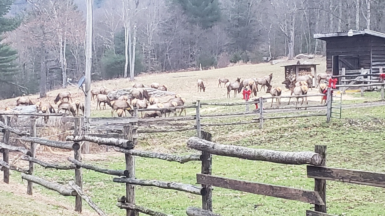 Photo of Outdoor in Benezette