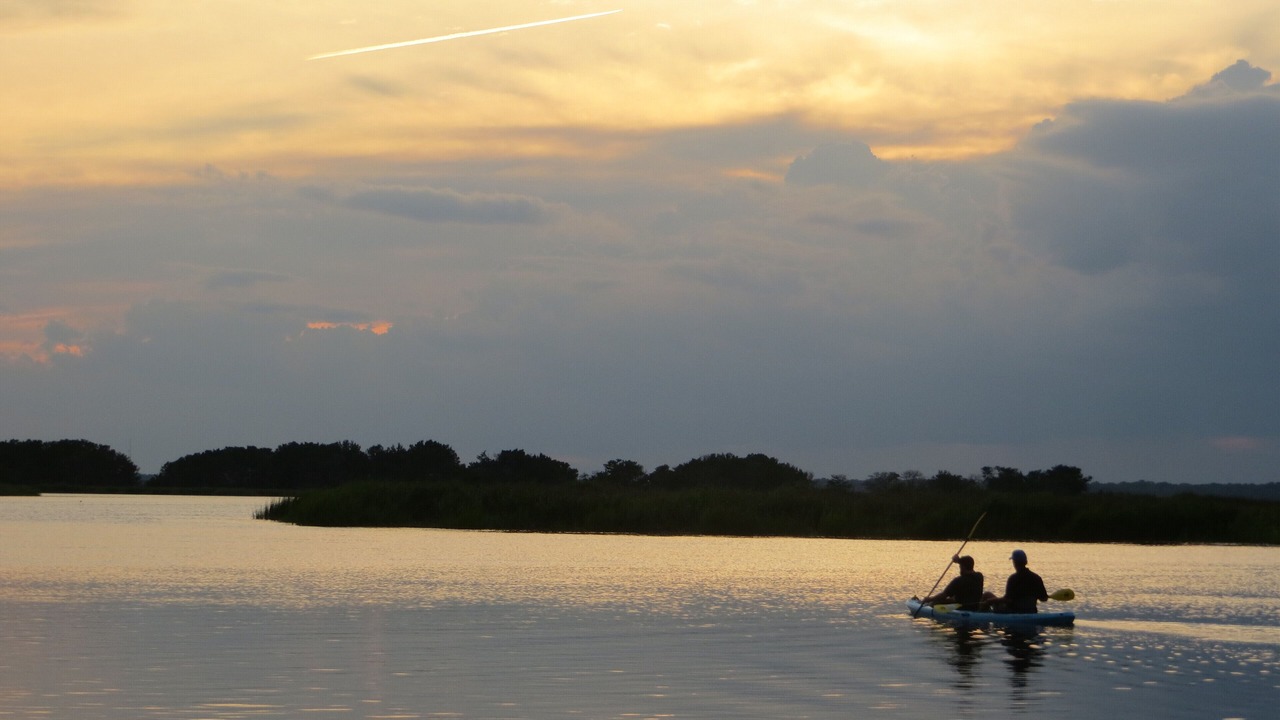 Photo of Others in St. Simons Island