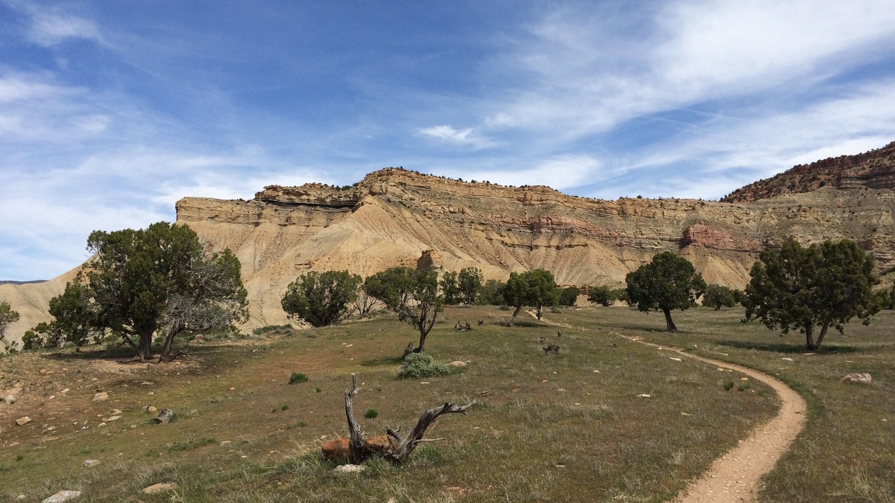 Photo of Outdoor in Fruita