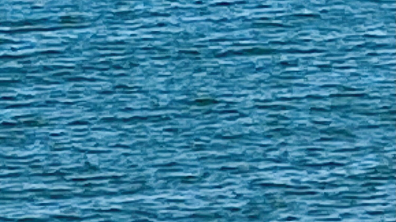 Photo of Others in Urbanna