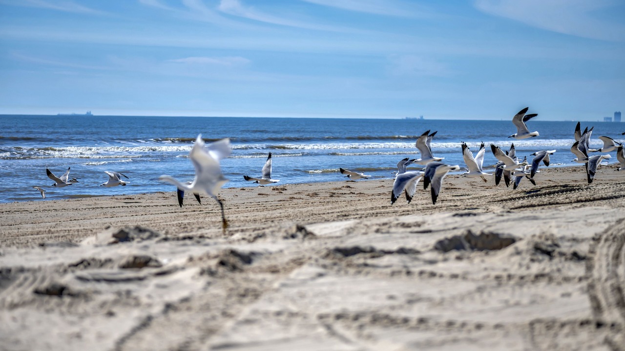 Photo of Others in Crystal Beach